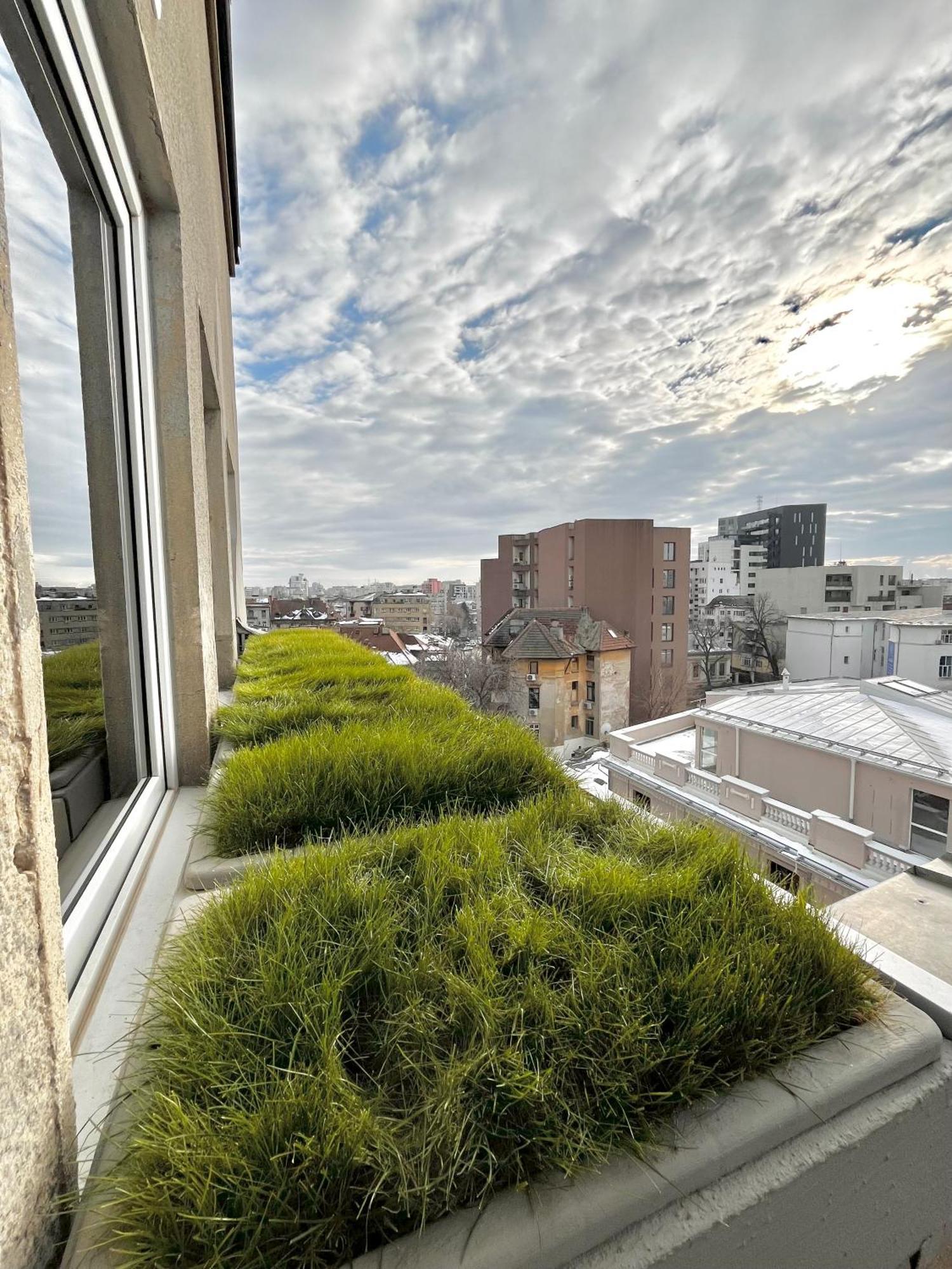 Terrace View Downtown Studio Bukarest Eksteriør billede